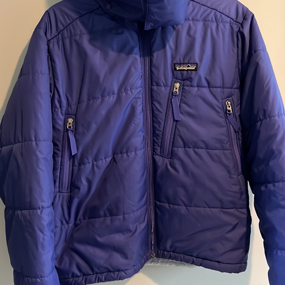 Patagonia Jacket with removable hood EUC - Picture 8 of 16